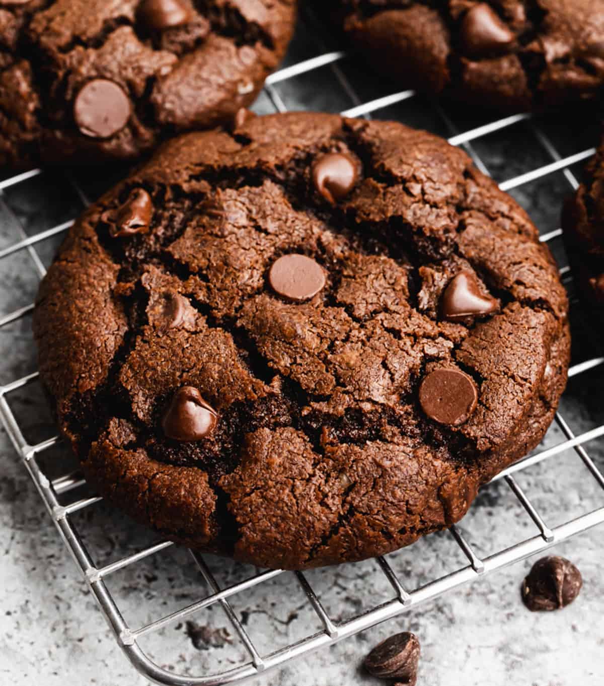 Chocolate Cookies Tanamera Coffee